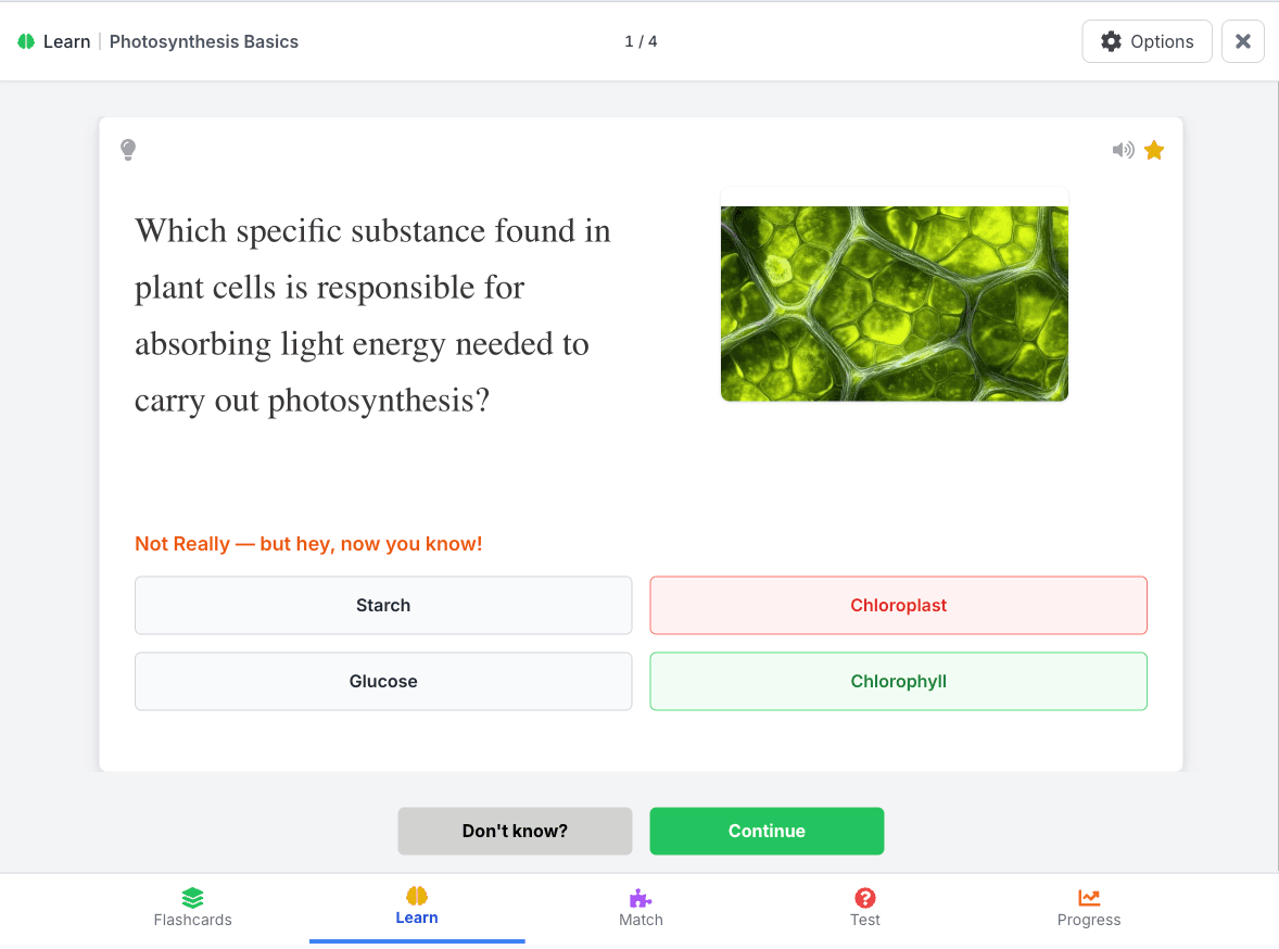 Multiple Learn Modes